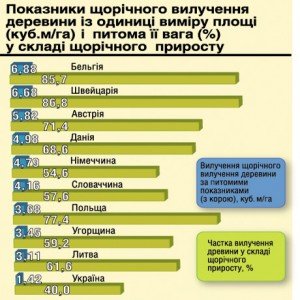 Деревина