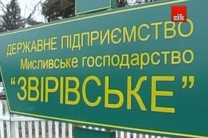 zvirivske_volyn